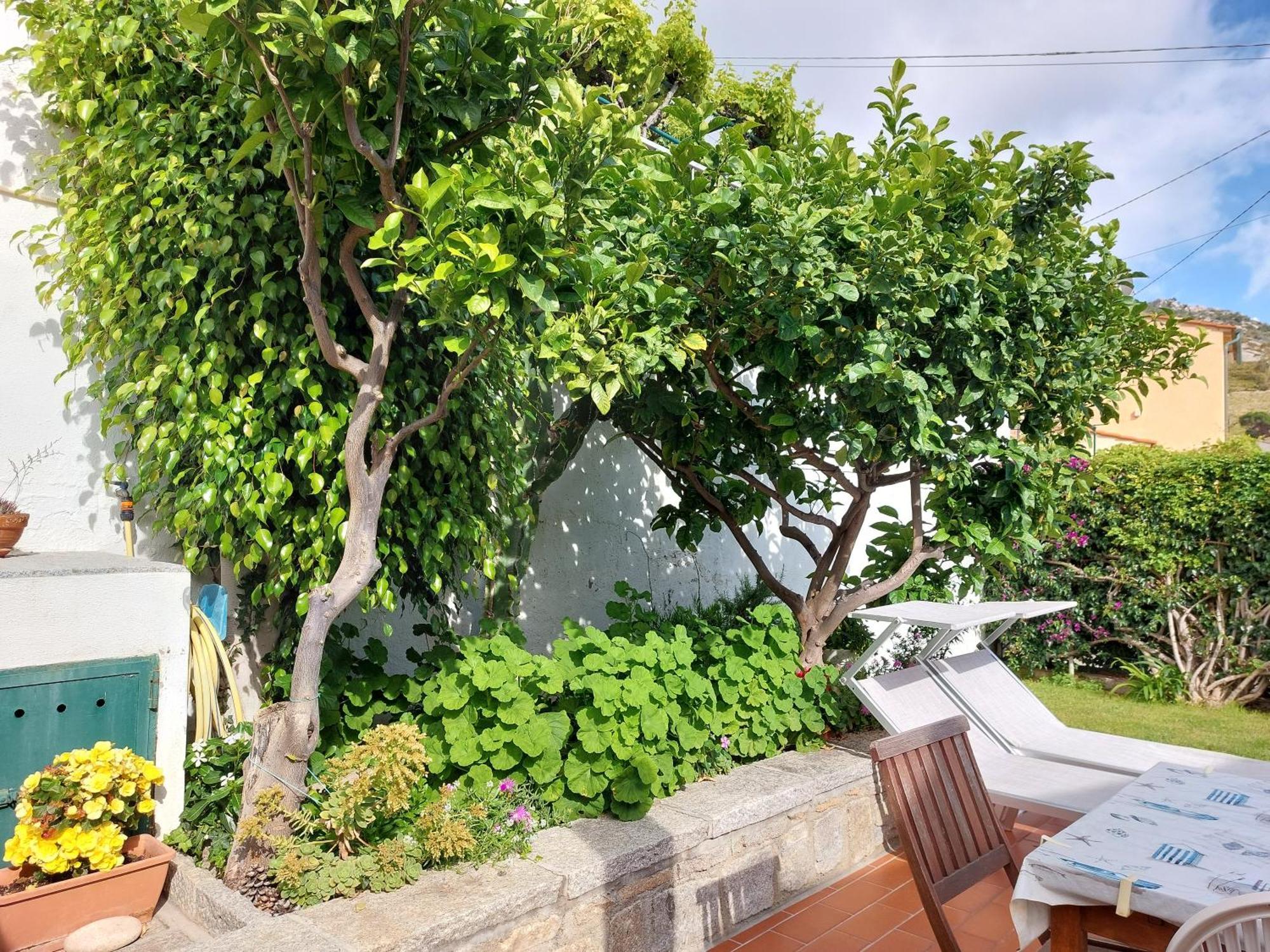 Casa Guerrino Vila Chiessi Exterior foto